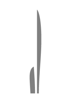 Hugo Award